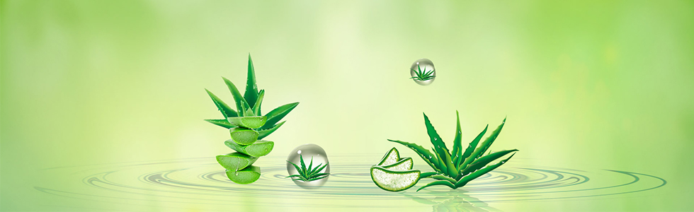 通栏图片